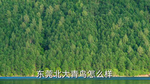 東莞北大青鳥怎么樣