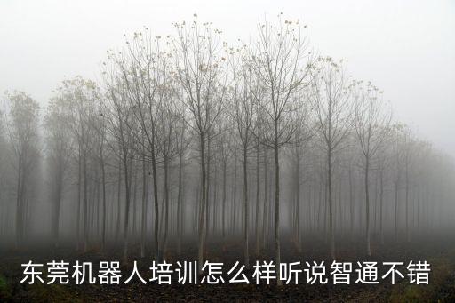 東莞機器人培訓怎么樣聽說智通不錯