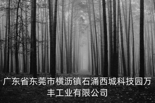 廣東省東莞市橫瀝鎮石涌西城科技園萬豐工業有限公司