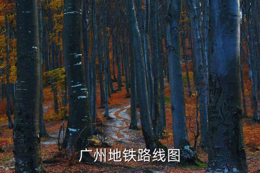 廣州地鐵線路圖高清，最新廣州地鐵線路圖最好有圖示