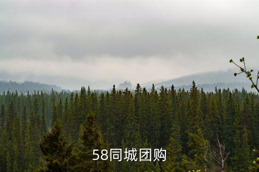 58同城團購