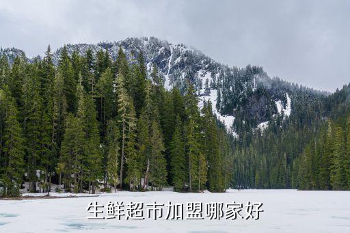 生鮮超市加盟哪家好