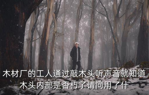 木材廠的工人通過敲木頭聽聲音就知道木頭內部是否朽了請問用了什