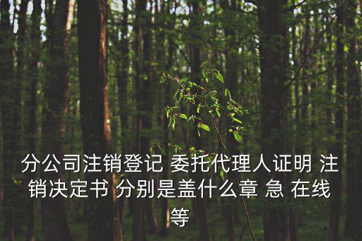 分公司注銷登記 委托代理人證明 注銷決定書 分別是蓋什么章 急 在線等
