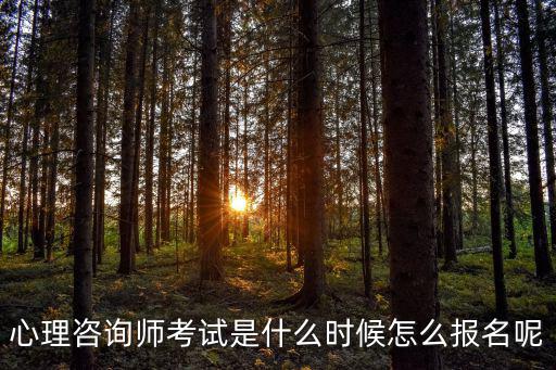 心理咨詢師考試是什么時候怎么報名呢