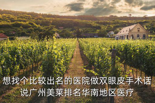 想找個比較出名的醫(yī)院做雙眼皮手術(shù)話說廣州美萊排名華南地區(qū)醫(yī)療