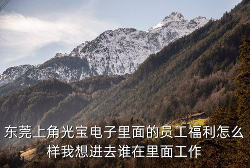 東莞上角光寶電子里面的員工福利怎么樣我想進(jìn)去誰在里面工作
