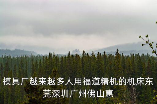模具廠越來越多人用福道精機的機床東莞深圳廣州佛山惠