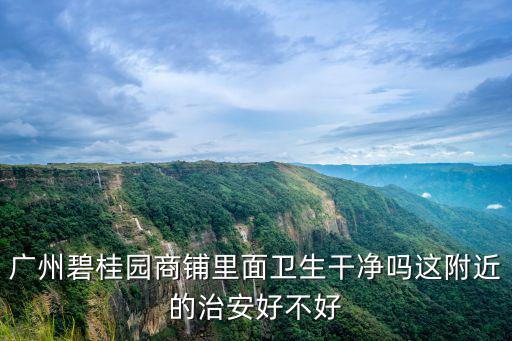 廣州碧桂園商鋪里面衛生干凈嗎這附近的治安好不好