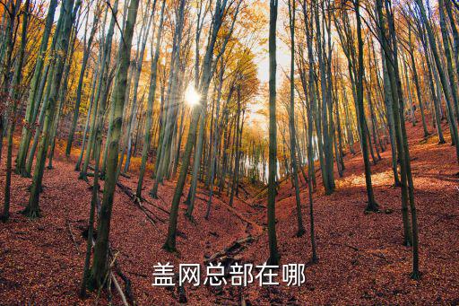 蓋網(wǎng)總部在哪