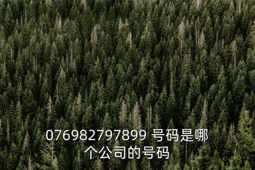 076982797899 號碼是哪個公司的號碼