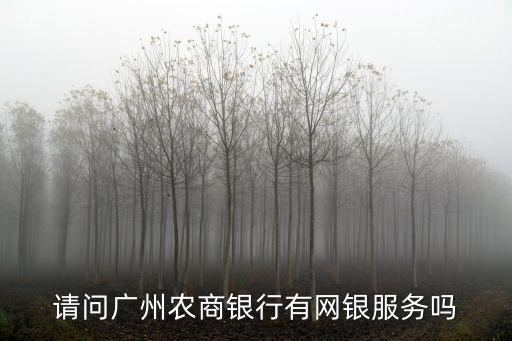 請問廣州農商銀行有網銀服務嗎