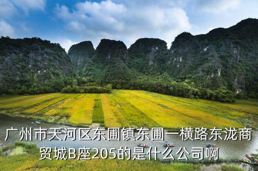 廣州市天河區(qū)東圃鎮(zhèn)東圃一橫路東瀧商貿(mào)城B座205的是什么公司啊
