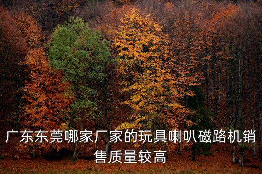廣東東莞哪家廠家的玩具喇叭磁路機銷售質量較高