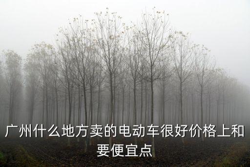 廣州什么地方賣的電動車很好價格上和要便宜點