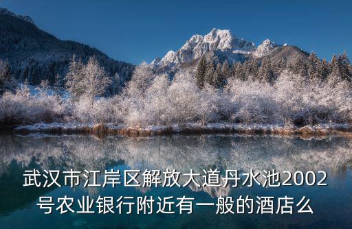 武漢市江岸區解放大道丹水池2002號農業銀行附近有一般的酒店么