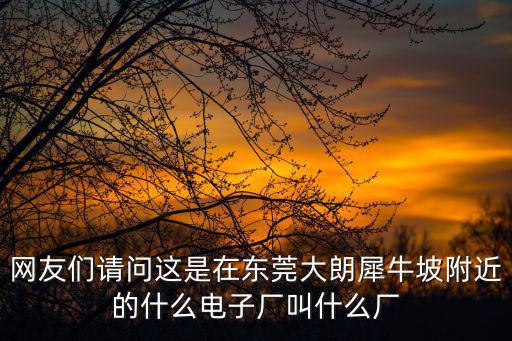 網友們請問這是在東莞大朗犀牛坡附近的什么電子廠叫什么廠