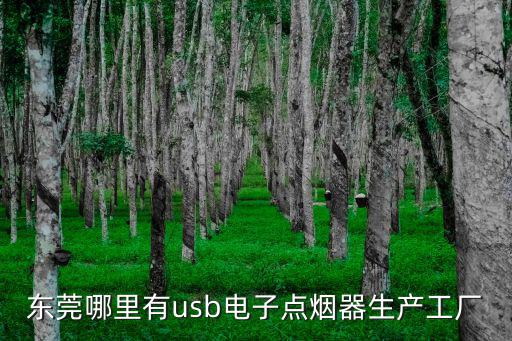 東莞哪里有usb電子點煙器生產工廠