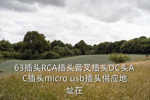 63插頭RCA插頭音叉插頭DC頭AC插頭micro usb插頭供應(yīng)地址在