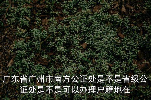 廣州市公證處，廣州的公證處很多請問去哪家最好