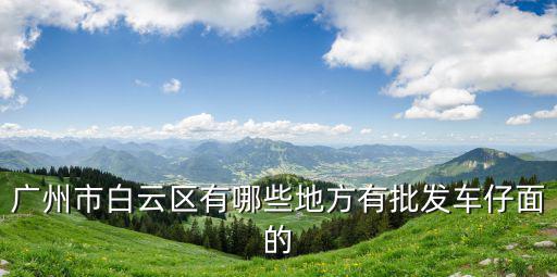 廣州市白云區有哪些地方有批發車仔面的