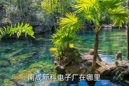 南成新科電子廠在哪里
