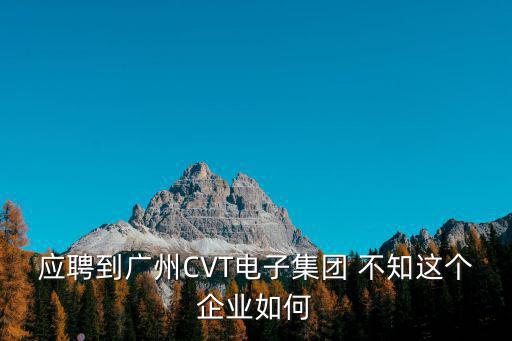應聘到廣州CVT電子集團 不知這個企業如何