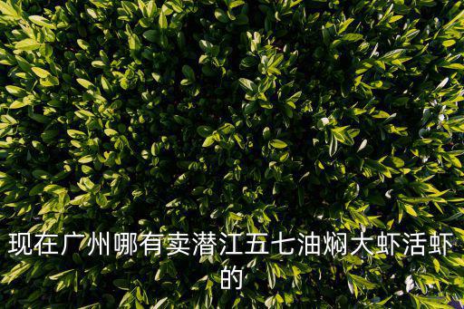 現在廣州哪有賣潛江五七油燜大蝦活蝦的