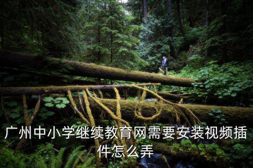 廣州中小學繼續教育網需要安裝視頻插件怎么弄
