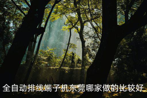 東莞市雙成實業有限公司，全自動排線端子機東莞哪家做的比較好