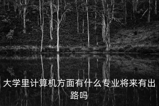 大學(xué)里計(jì)算機(jī)方面有什么專業(yè)將來(lái)有出路嗎