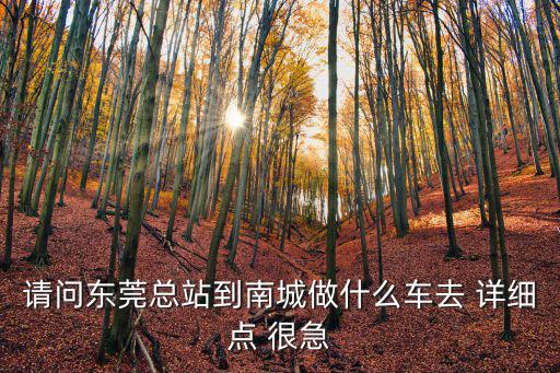 請問東莞總站到南城做什么車去 詳細點 很急
