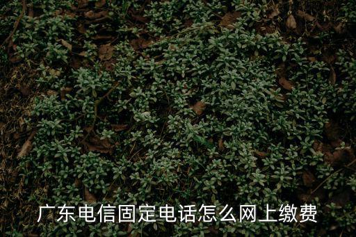 廣東電信固定電話怎么網上繳費
