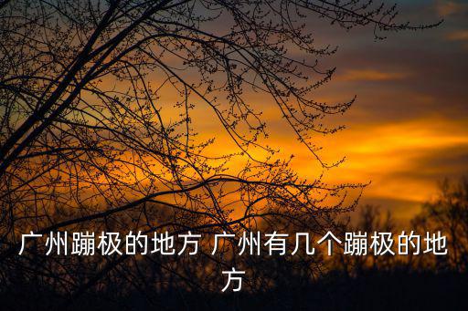 廣州蹦極的地方 廣州有幾個蹦極的地方