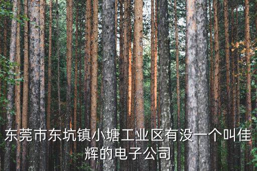 東莞金兆億電子科技有限公司，東莞市東坑鎮小塘工業區有沒一個叫佳輝的電子公司