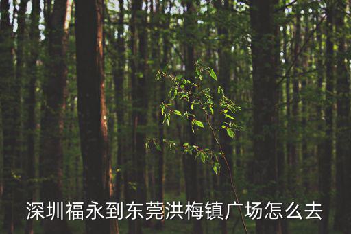 深圳福永到東莞洪梅鎮(zhèn)廣場怎么去