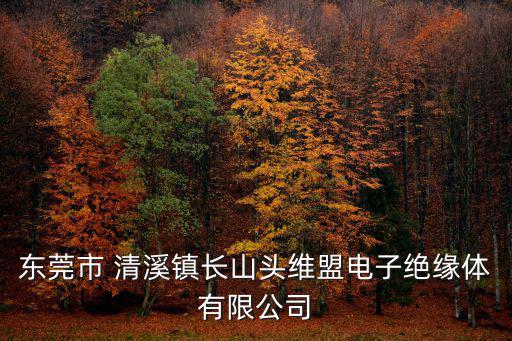 東莞市 清溪鎮長山頭維盟電子絕緣體有限公司