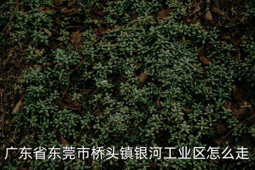 東莞市銀河化工有限公司，廣東省東莞塘下鎮138工業區廣東省東莞塘下鎮138工業區