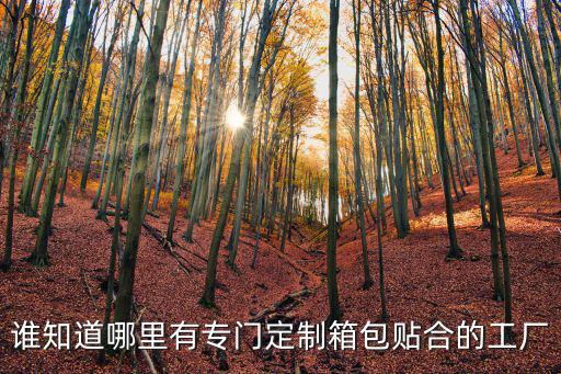 誰知道哪里有專門定制箱包貼合的工廠