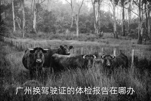 廣州蘿崗榮基電子在哪，廣州換駕駛證的體檢報告在哪辦