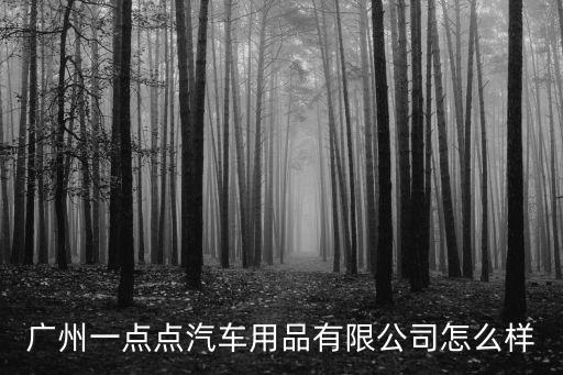 廣州一點(diǎn)點(diǎn)汽車用品有限公司怎么樣