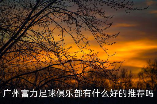 廣州富力足球俱樂部有什么好的推薦嗎