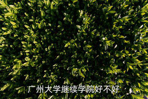廣州大學繼續學院好不好