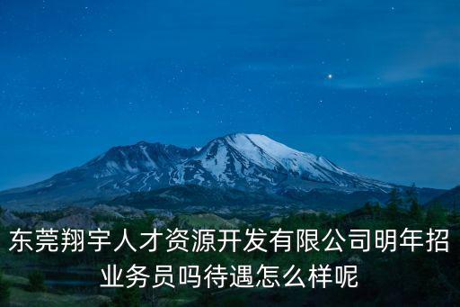 東莞翔宇人才資源開發有限公司明年招業務員嗎待遇怎么樣呢
