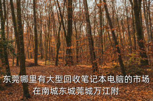 東莞哪里有大型回收筆記本電腦的市場在南城東城莞城萬江附