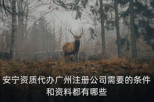 代理廣州注冊，代理記賬廣州注冊公司需要的條件和資料都有哪些