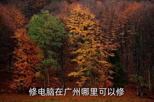 修電腦在廣州哪里可以修