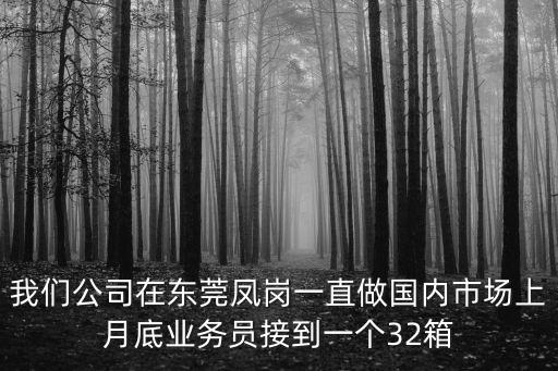 我們公司在東莞鳳崗一直做國內市場上月底業務員接到一個32箱