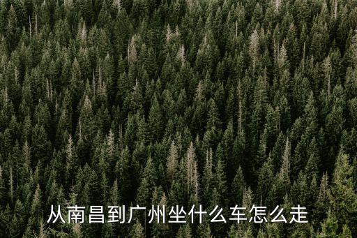 南昌到廣州，從南昌到廣州坐什么車怎么走