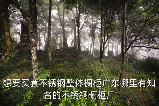 想要買(mǎi)套不銹鋼整體櫥柜廣東哪里有知名的不銹鋼櫥柜廠